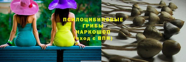 ПСИЛОЦИБИНОВЫЕ ГРИБЫ Дмитров