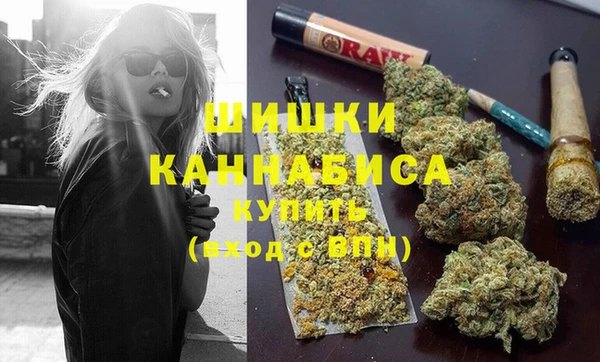 ПСИЛОЦИБИНОВЫЕ ГРИБЫ Дмитров