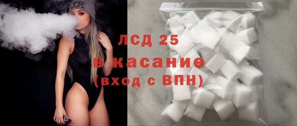 СК Елизово