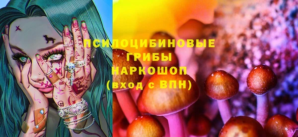 ПСИЛОЦИБИНОВЫЕ ГРИБЫ Дмитров