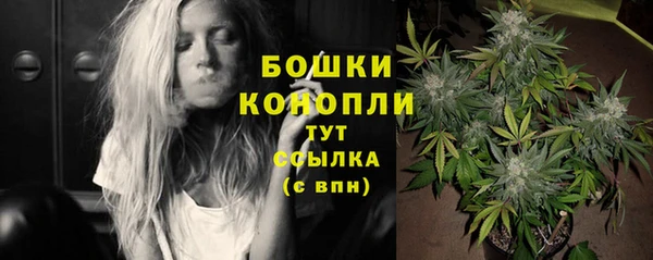 гидра Дмитровск